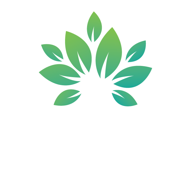 Knowledge Tree